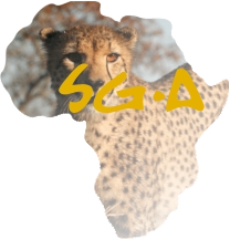 Safari Gold Africa wealthbuilding in south africa