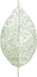 Karuna Day Spa Hoedspruit near Orpen Gate